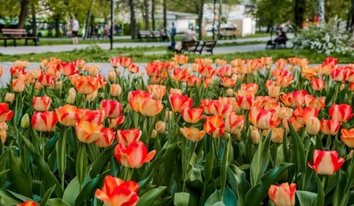 � ������ ���� �� ������� �������� ����������� � �������� �� ����������