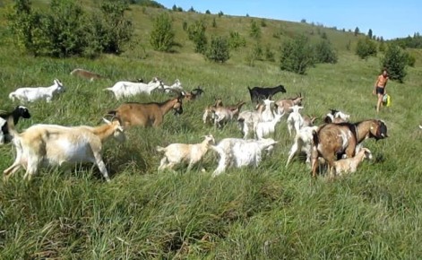 ����� ����� ���������� �� �������������� ����� ��������