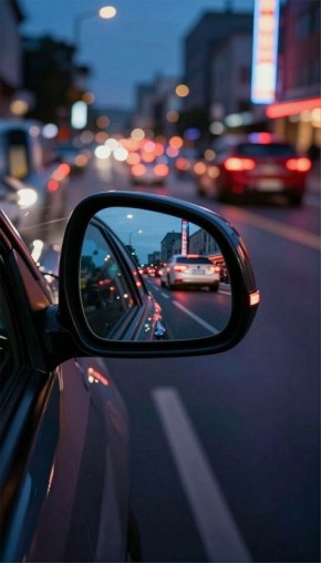 ��������� ������ � ������� ������ ����� 52 ��� �� �������� �����������