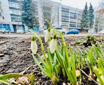 � ������� ������� ������ ���������� ������