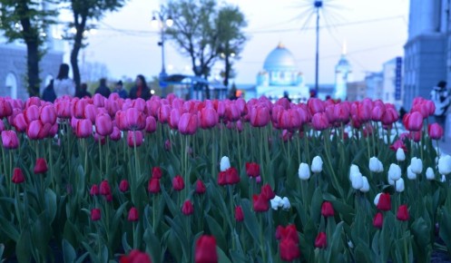 � ������ ������� ���������� ��� ���������� ������ �� ������� 31 �������