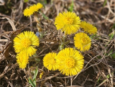 ������ ����!. ������� ����� ������ � �����