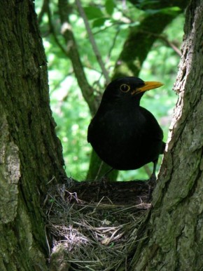 Сергей Ливенцев: Задаетесь вопросом, как провести предстоящие весенние каникулы?