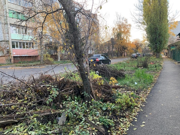 В Курской области увеличены штрафы за бурьян и мусор перед домом
