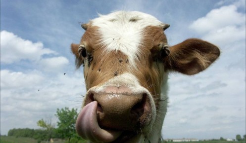 � ������� ������� ������� ������ �� �������������� ����� ��������