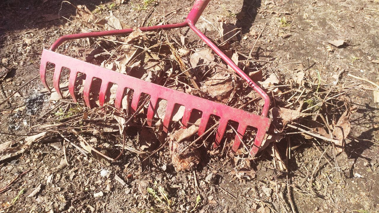 В Курской области ввели ответственность за содержание прилегающих территорий