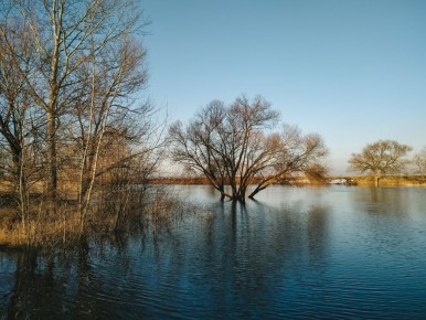 Доброе утро, друзья!. Весна...Отступили морозы
