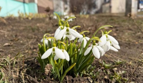 � ������� ������� 27 ����� ��������� �����, ����� � ��������� �����������