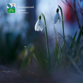 ������ ����!. ���������� ����������, +14�C ����, ��� �������, +3�C �����