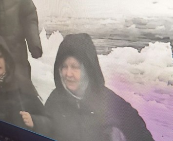 Курян просят помочь установить личность подозреваемой в краже