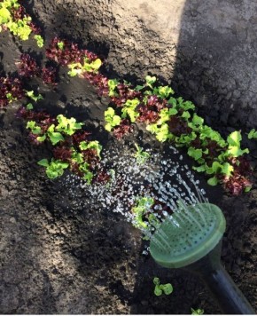 ����� ����� ���������� �� ������� � ����� �� ����������� ����������