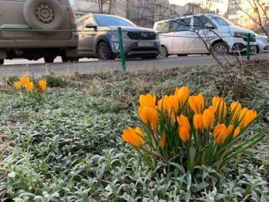 В Курской области 28 марта ожидается дожди, туман и до 12 градусов тепла