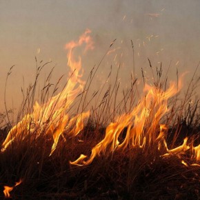 ������� ��������� ������� � 2026 ���� �������� ����� �� ������ �����