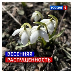 27 �����, �������. 30 ��������� �� ���������� ������