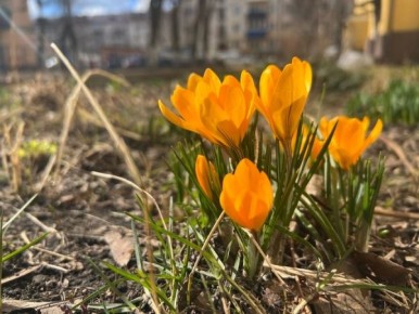 � ������� ������� ������ �������� � ������� ����������