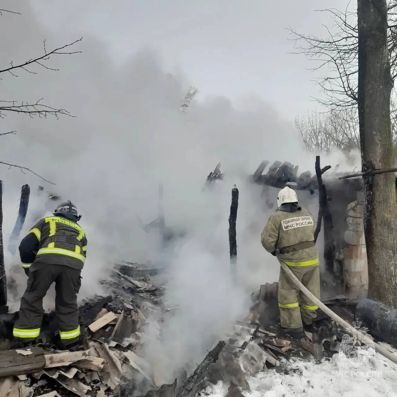 Три козленка погибли в пожаре в Щигровском районе