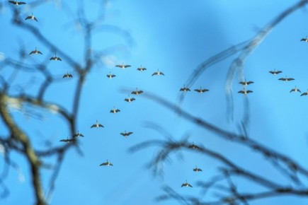 ������ ����! ������ ���� �������� ��������