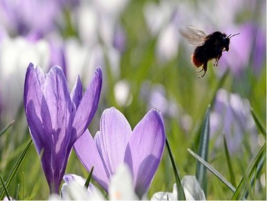 ����� ���������� ������� � �������, ������� � ��� ��������. ������������ ������� �� 28 ����� � ������