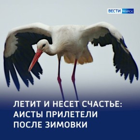 �� ������ � �����: �������� ����� � ��������� �������