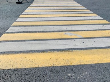 � ������� ������� 81-������ �������������� �������� ����� ��������