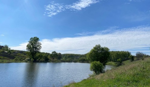 � ������� ������� �� �������� ���������� ������ ����� � ������ �������