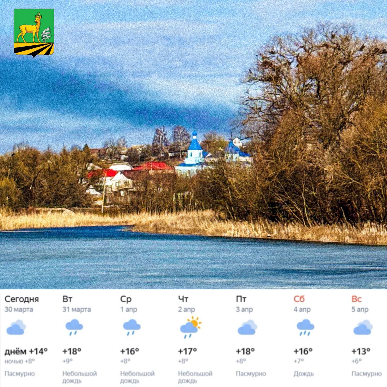 доброе утро, земляки! Нас ожидает дождливая, но теплая неделя