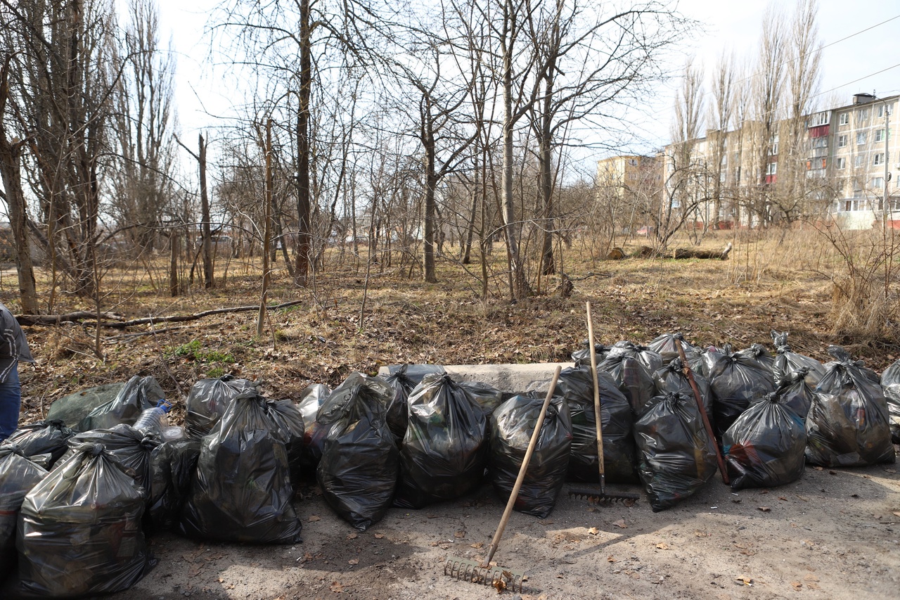 Евгений Маслов призвал курян не мусорить и активнее подключиться к уборке дворов
