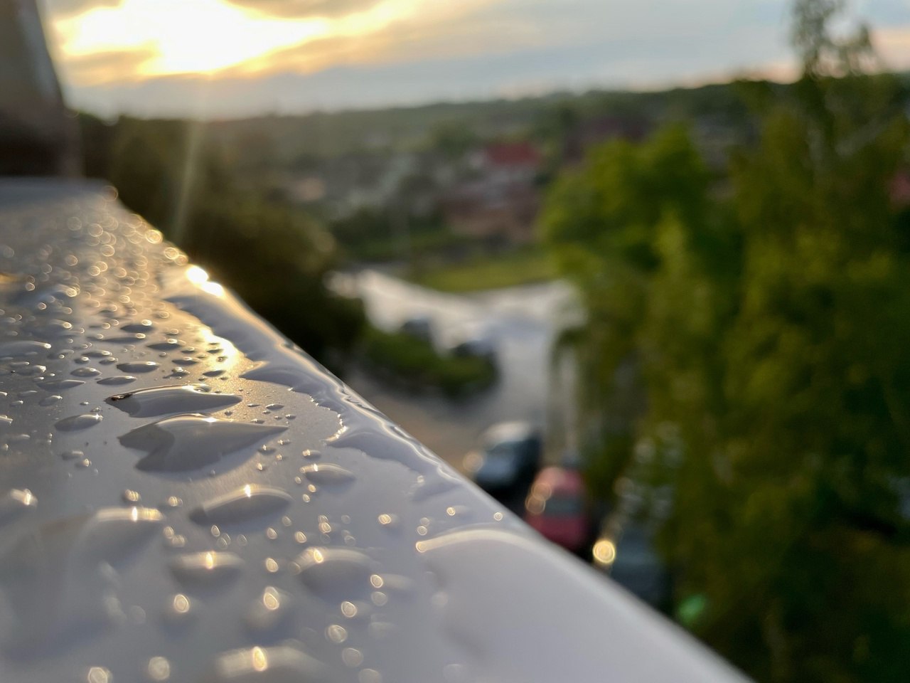 В Курской области 31 марта потеплеет до +19 градусов