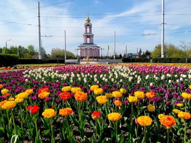 � ����� �������� ������ �� ������ �������� ��������