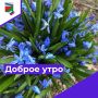 Доброе утро!. Сегодня, в понедельник, 30 марта, по прогнозу регионального отделения МЧС, в Курской области облачно с прояснениями