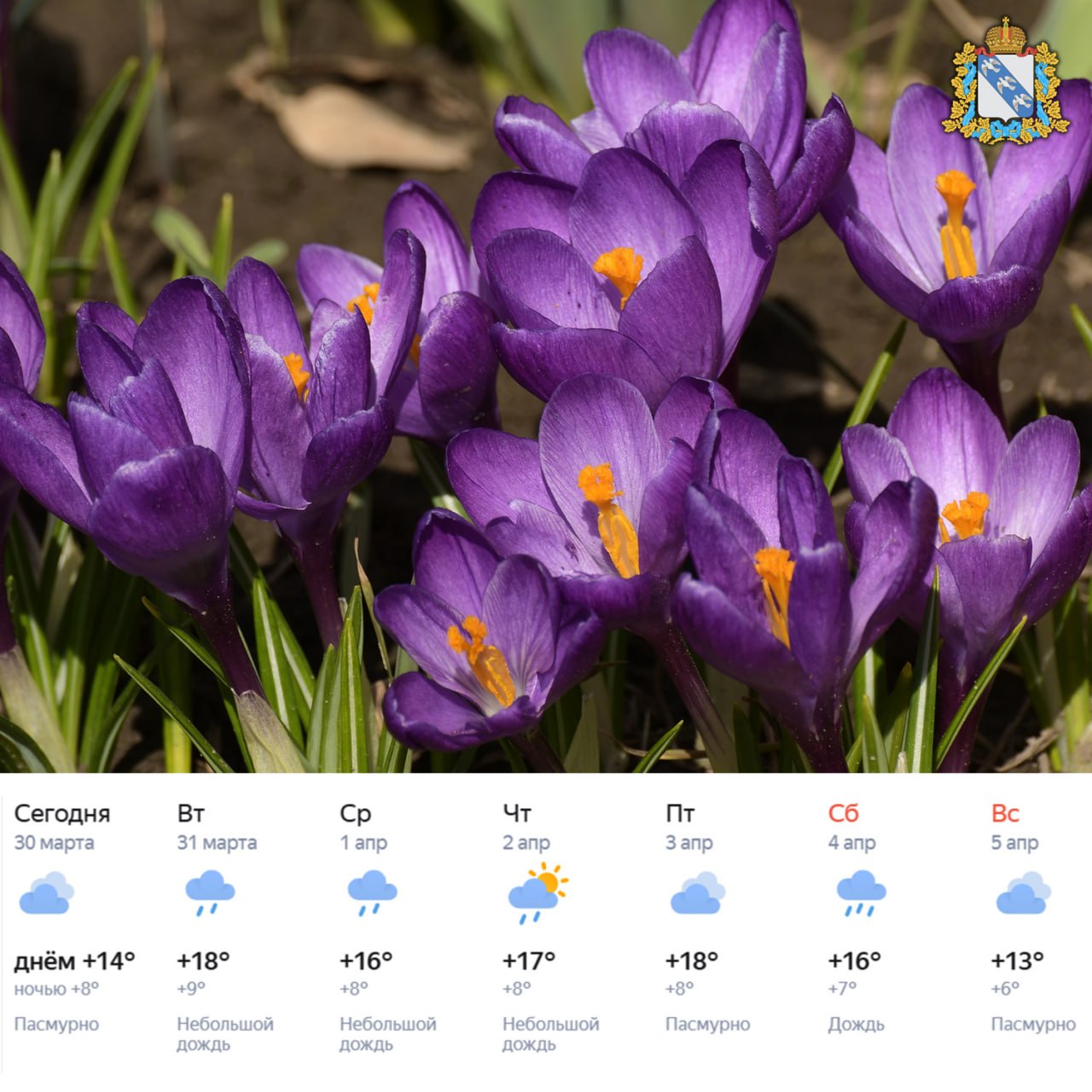 Доброе утро! Неделя будет дождливой, но тёплой