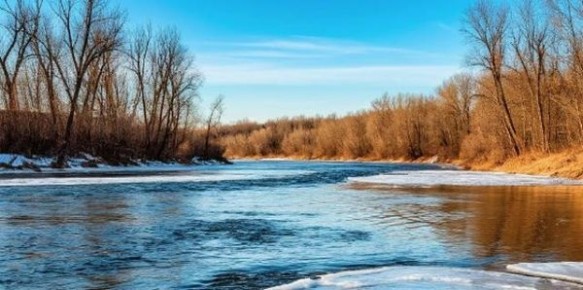 В Курской области утонул рыбак