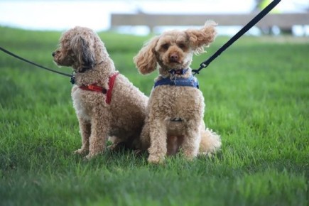 �������� ������� ����� ���������� � ����� ������ �����