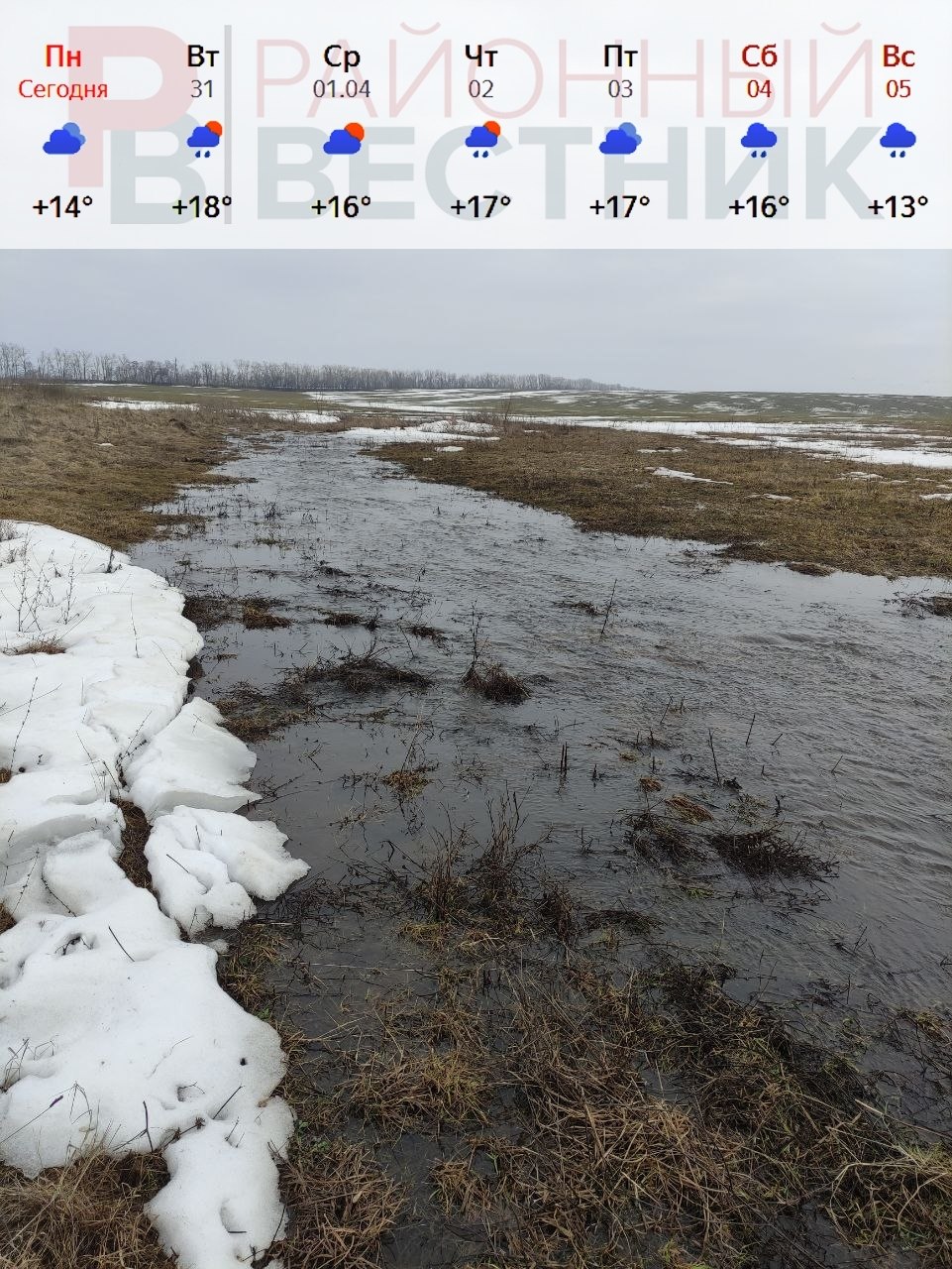 Центральная Россия на этой неделе будет находиться на дальней периферии циклона - в отдельные дни ожидаются локальные дожди