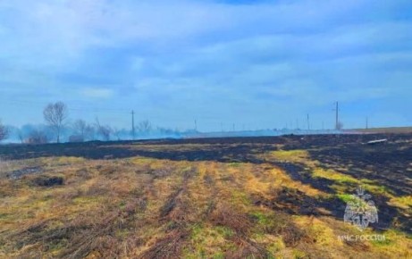 Жительница Касторенского района устроила крупный пожар, пытаясь сжечь мусор