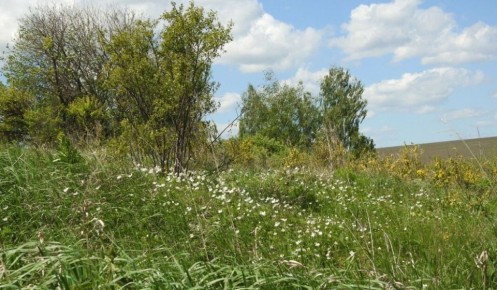 ������ ������� �������� ��� ����� ���������� ������� ������� �������