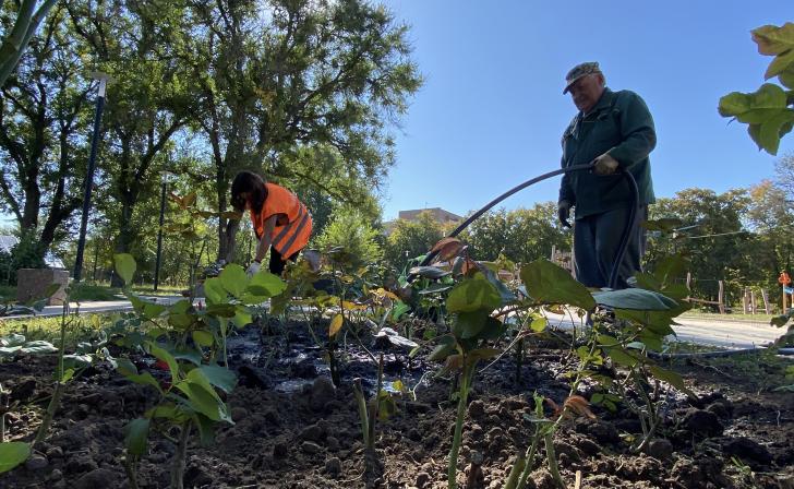 В Курске разработают единую концепцию цветочного оформления города
