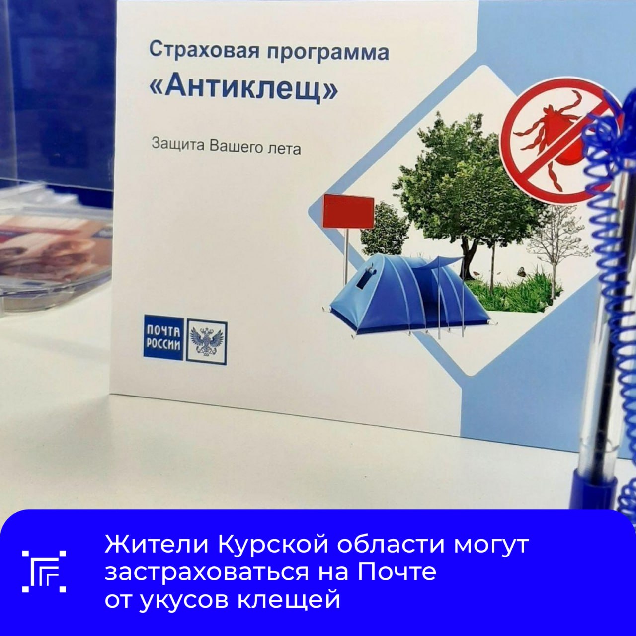 С начала года клиенты почтовых отделений в Курской области уже оформили порядка 65 полисов «Антиклещ»
