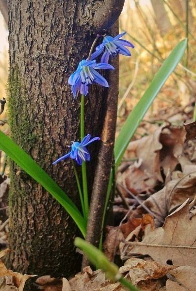Доброе утро, друзья!. Сегодня ожидается пасмурный и тёплый день