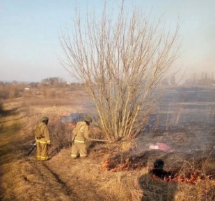 В Курской области едва не сгорело кладбище