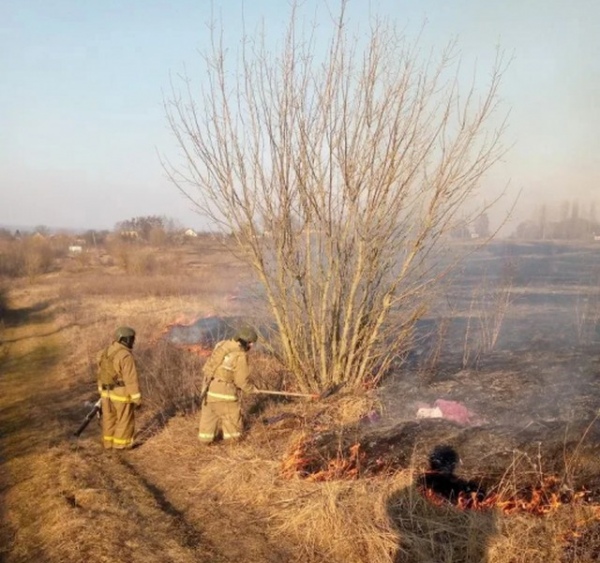 В Курской области едва не сгорело кладбище