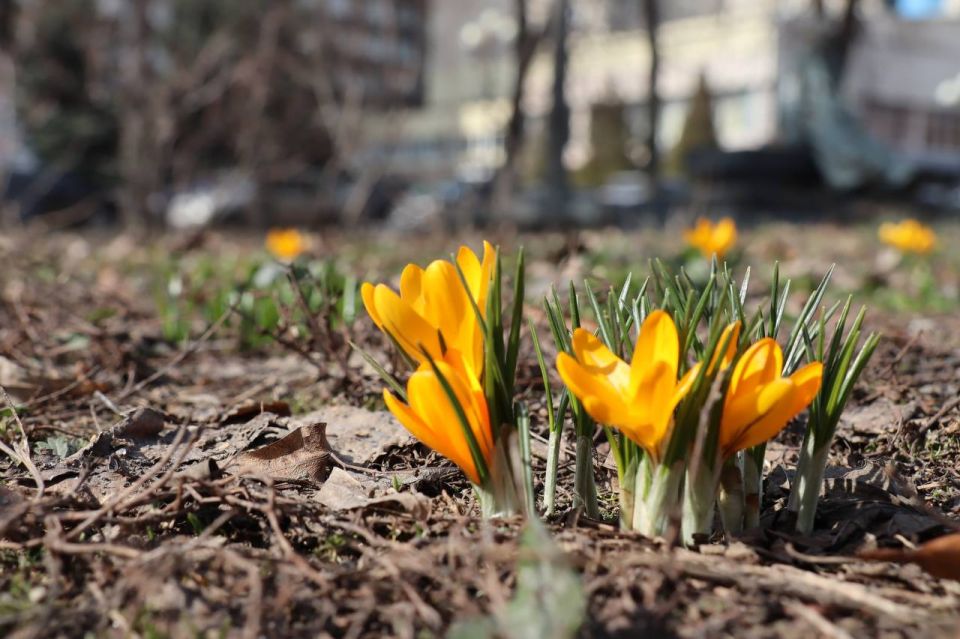 Доброе утро!. Сегодня, в среду, 1 апреля, по прогнозу регионального отделения МЧС, в Курской области облачно с прояснениями