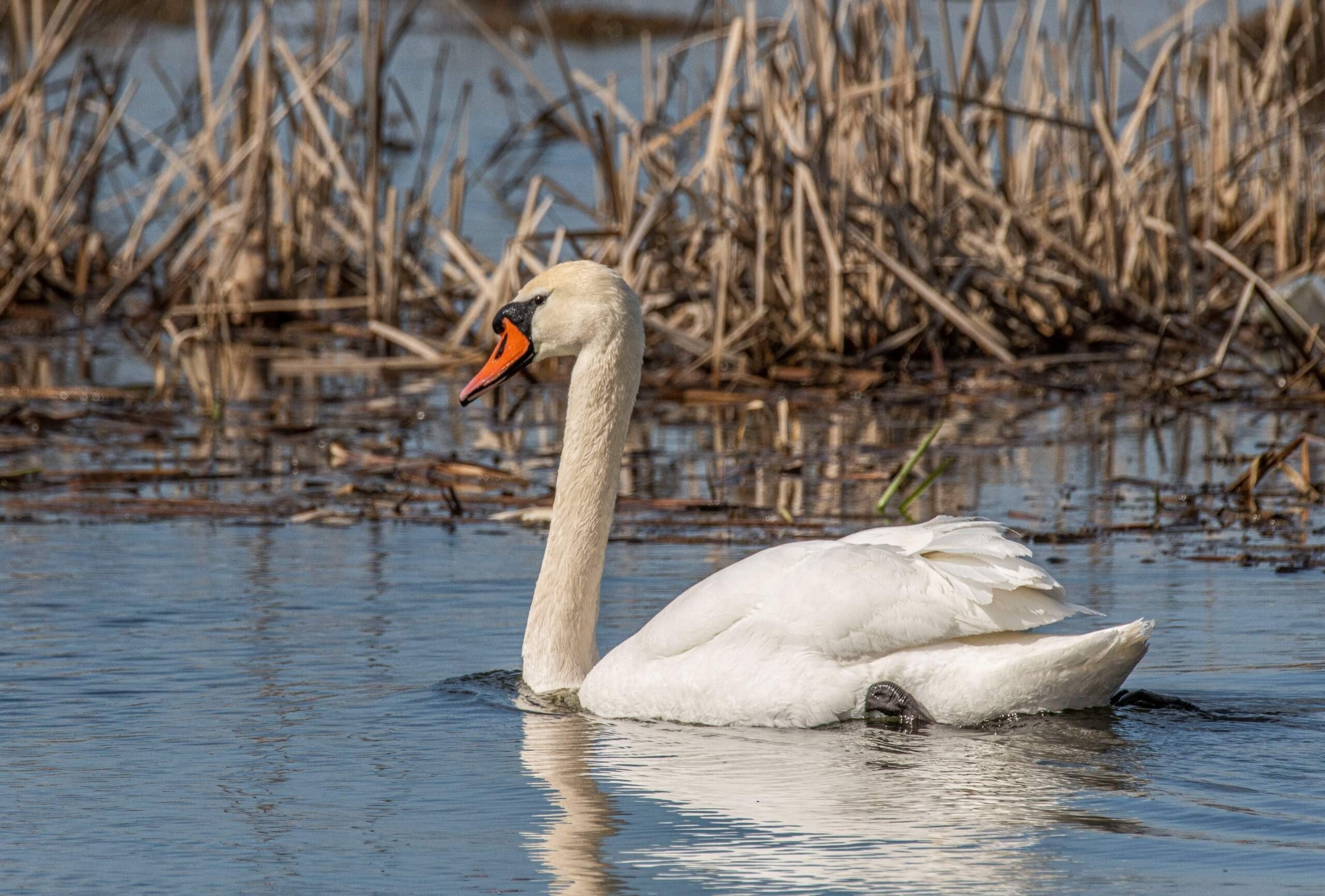 Доброе утро, Пристенский район!