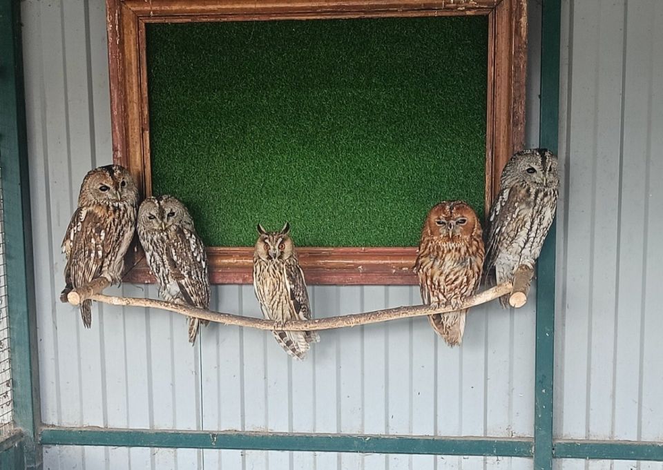 ��������� ���� �� �������� ����������� ������ ����� ��� � ���� ���� ���������