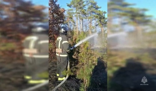 � ������� ������� �� ����� �������� 6 ��� ������ ������� �����