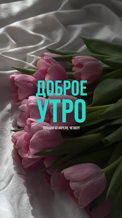 Доброе утро, дорогие подписчики!