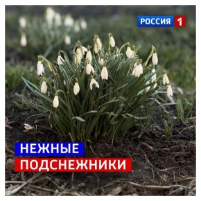 2 ������, �������. ���� ������, ��� ���������� ������ �������� � ����� ����� ��� ���