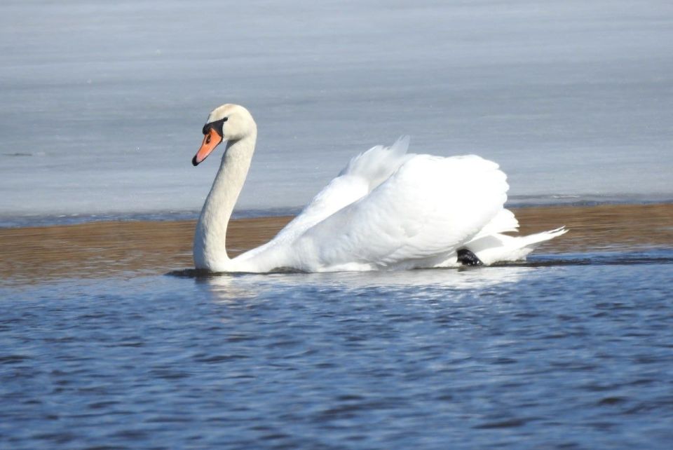 Доброе утро, друзья!. Сегодня днём воздух прогреется до +16 - +17 градусов