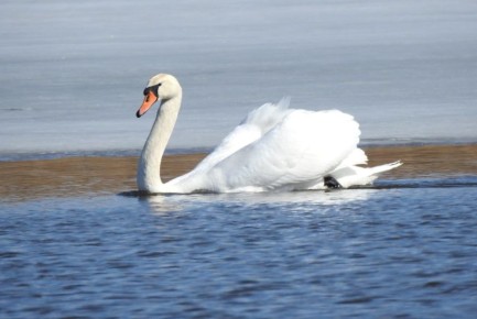 ������ ����, ������!. ������� ���� ������ ���������� �� +16 - +17 ��������