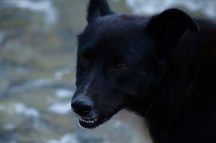 � ������� ������� ����������� �������� ����������� �� ���� ������� �������� �������